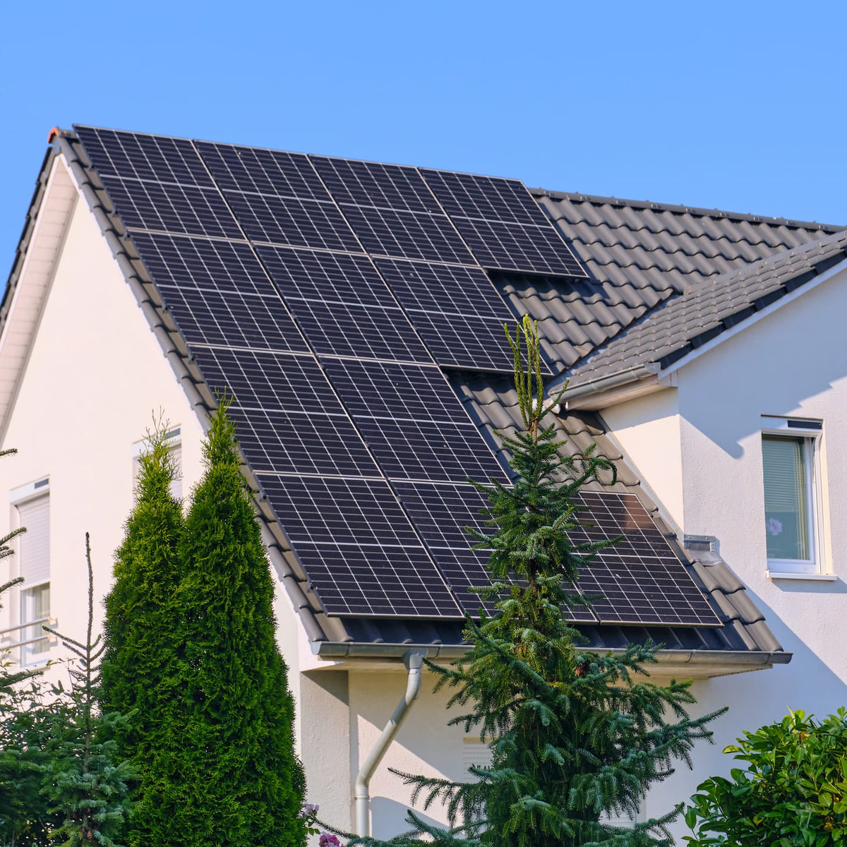 Weißes Einfamilienhaus mit Photovoltaikanlage auf dem grauen Ziegeldach, davor Nadelbäume und Hecken